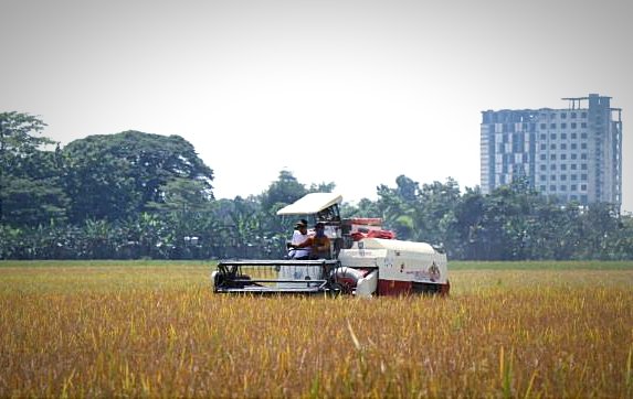 Tak Hanya Migas, Sektor Pertanian Turut Kuatkan Ekonomi Bojonegoro