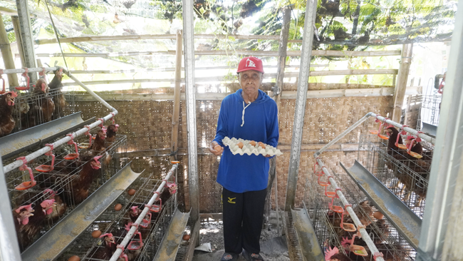 Telur Bergizi dari Sekitar Operasi