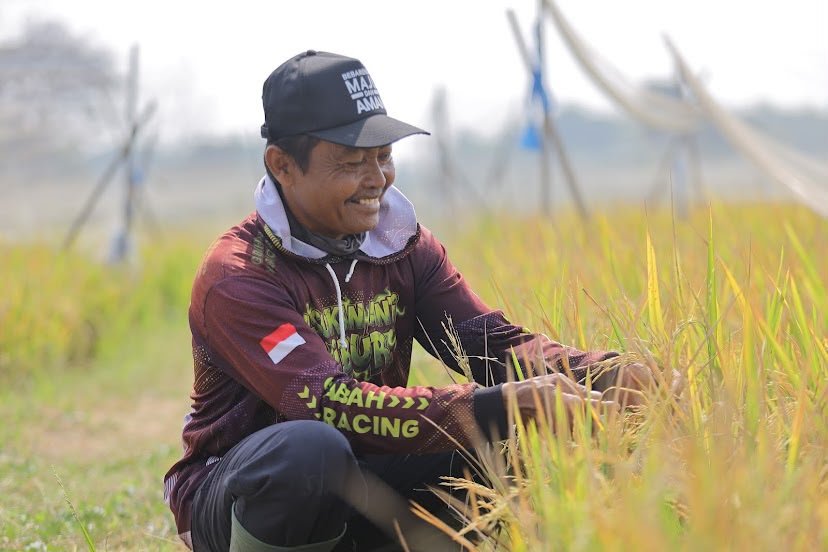 Panen yang Melimpah dan Cerita Ketelatenan Petani Tuban