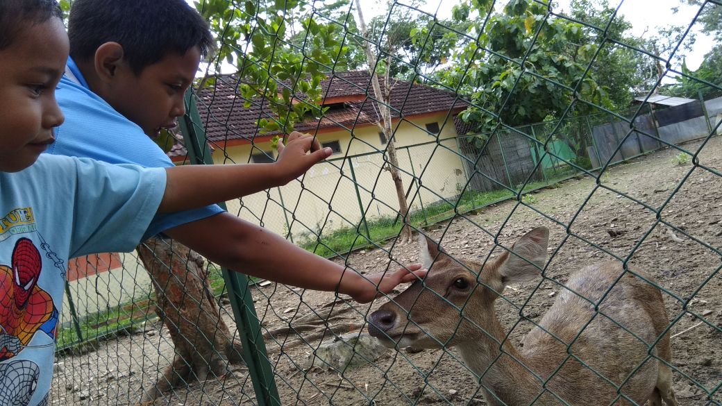 Pengunjung Keluhkan Wisata Edukasi Rusa di Malo Tak Terawat