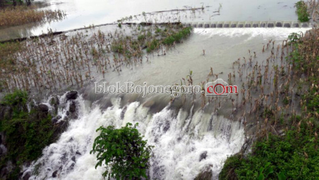 Tak Kuat Tampung Air, Waduk Pacal Meluap