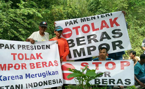 Akan Temui Mentan, Petani Kanor Tolak Impor Beras