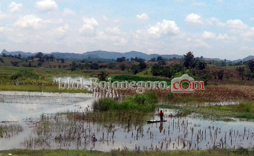 Bertani di Area Waduk Pacal, Konsekuensi Lahan Tergenang