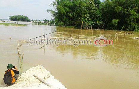 Waspada...! Selatan Bojonegoro Potensi Banjir Bandang