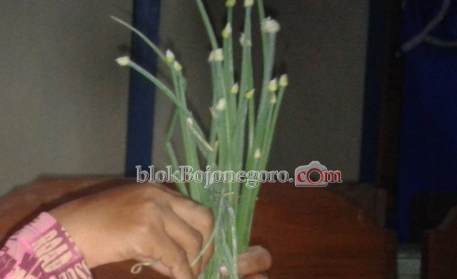 Tak Hanya Buahnya, Bunga Bawang Bisa Dimasak