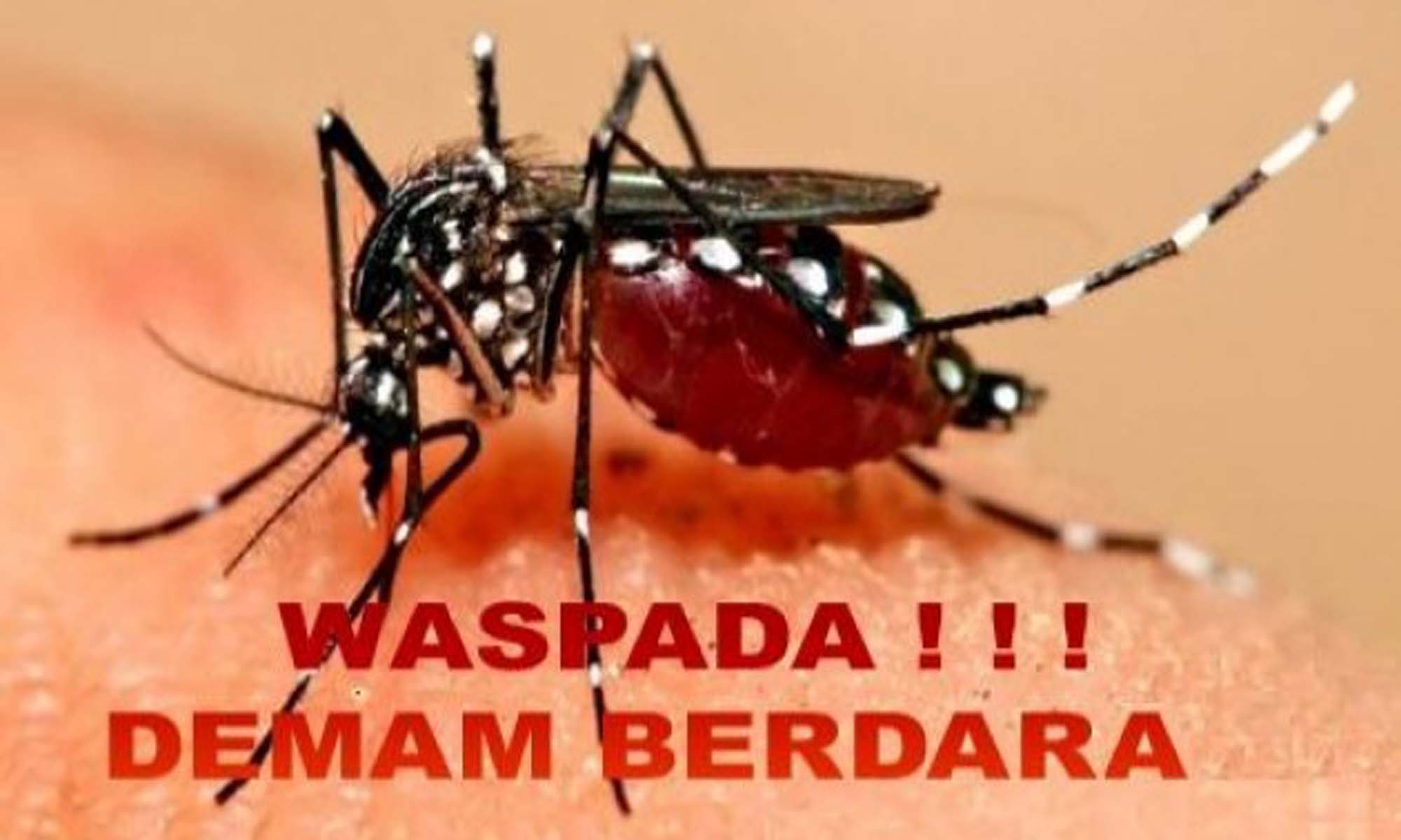Tiga Bulan 63 Kasus DBD, 1 Anak Meninggal