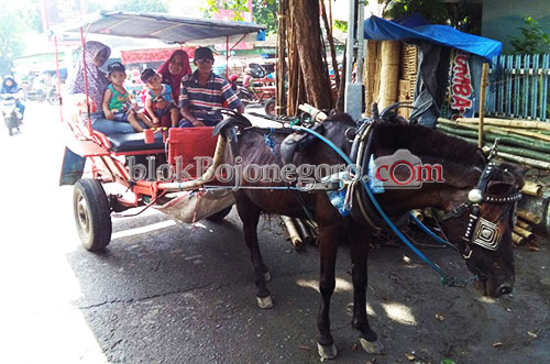 Alternatif Liburan, Naik Delman Keliling Kota