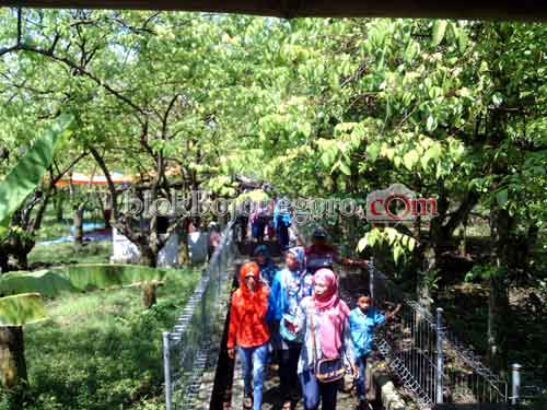 Murah, Agrowisata Kebun Belimbing Ramai Pengunjung