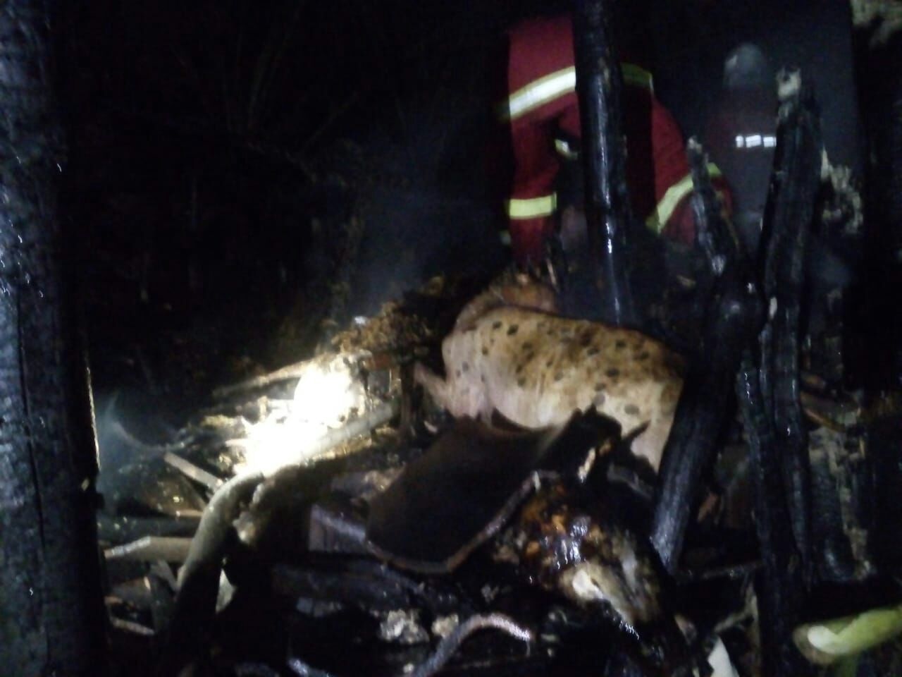 Kandang Kambing Ludes Terbakar, Pemilik Rugi Rp29 Juta