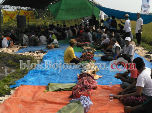 Diserang Wereng, Petani di Wedi Adakan Slametan