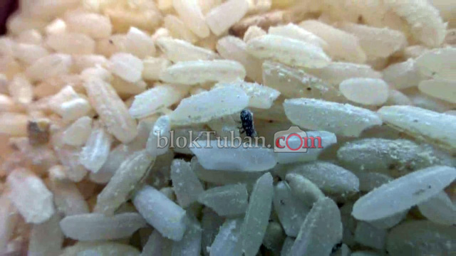 Pemerintah Perketat Penjualan Beras