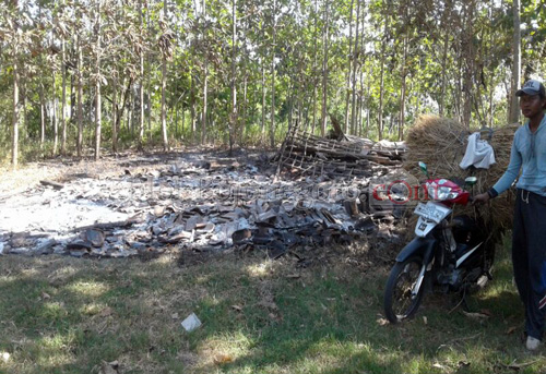 Rumah Polhut Perhutani di Temayang Ludes Terbakar