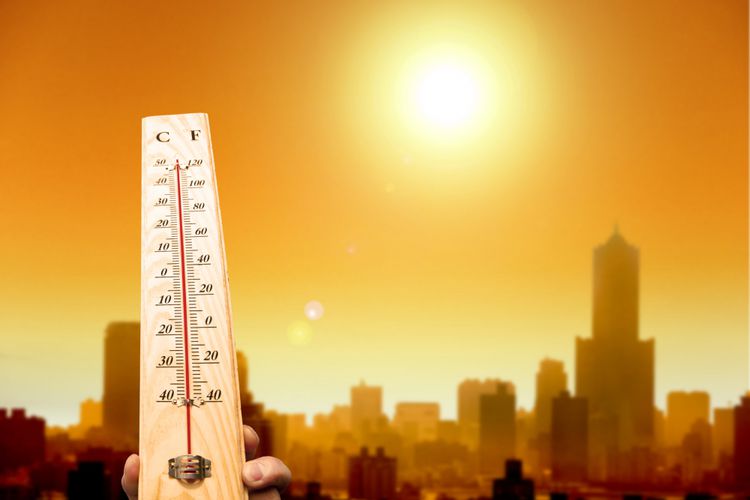 5 Langkah Si Pemalas Melawan Perubahan Iklim