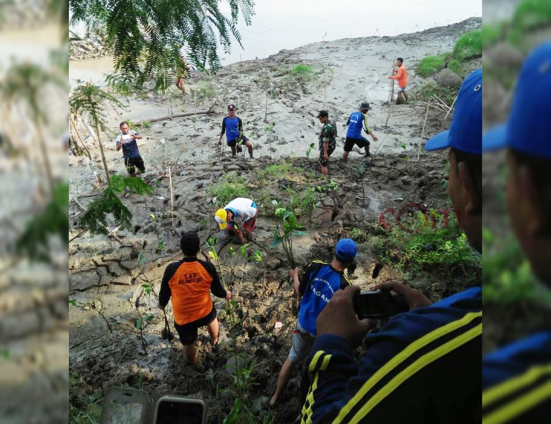 Warga Sekaran Tanam 2000 Mangrove