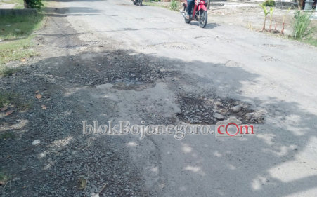 Berlubang, Jalan Mojoranu-Ngraseh Dikeluhkan Pengguna Jalan