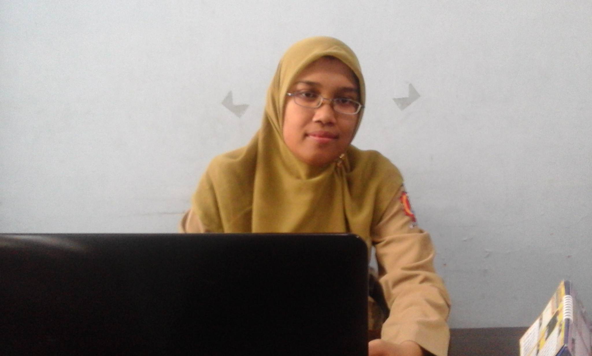 Hama Wereng Serang Lahan Padi di 6 Kecamatan