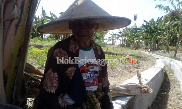Usia 80 tahun, Nenek ini Tetap Terjun ke Sawah