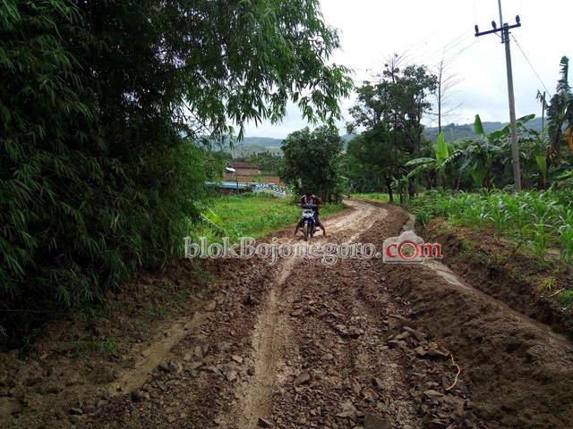 Musim Hujan, Jalan di Desa Deling Mirip Jalan Kerbau
