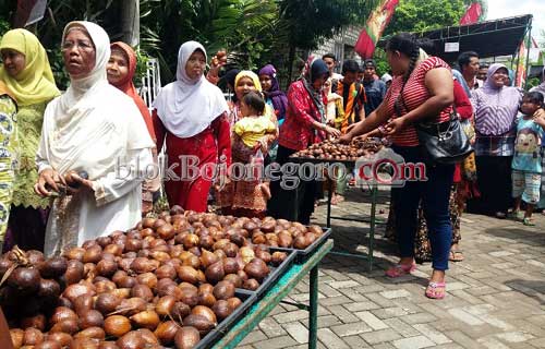 Relawan Restu Mujtaba Akan Kembangkan Salak Wedi