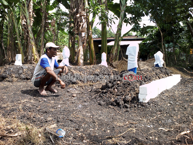 Tokoh Agama: Wajar Kalau Ada Makam Waliyullah