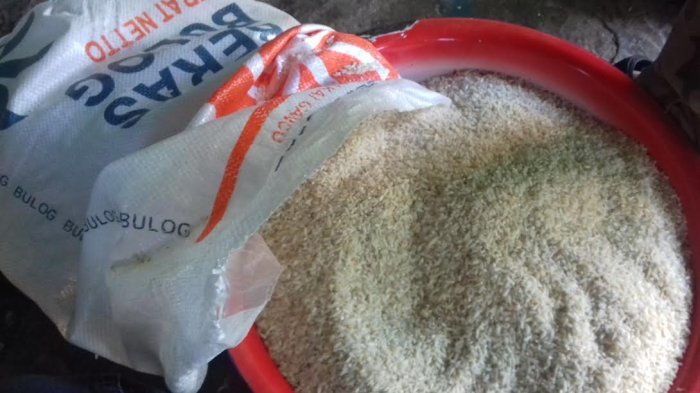 Gratis, Rastra Dibagikan 10 Kilorgam per Keluarga