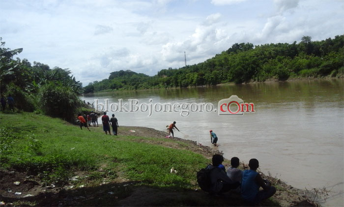 Ikan Mabuk, Warga Berebut Menangkap di Tepi Bengawan