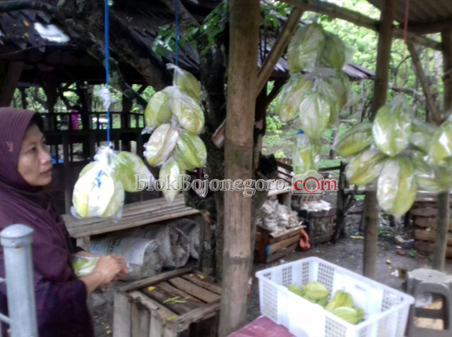 Pengunjung Kecewa Tak Bisa Rasakan Belimbing Kuning