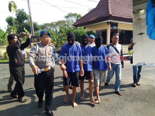 Jual Kayu Hutan, Tiga Oknum Perhutani Diamankan Polisi