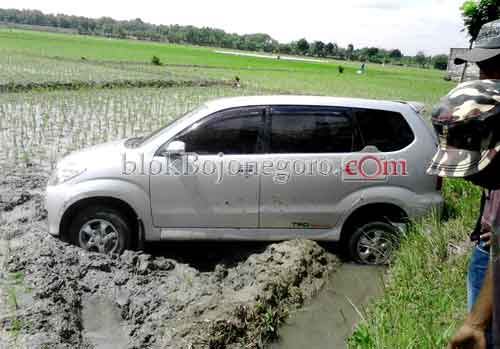 Hindari Motor, Avanza Nyungsep ke Sawah