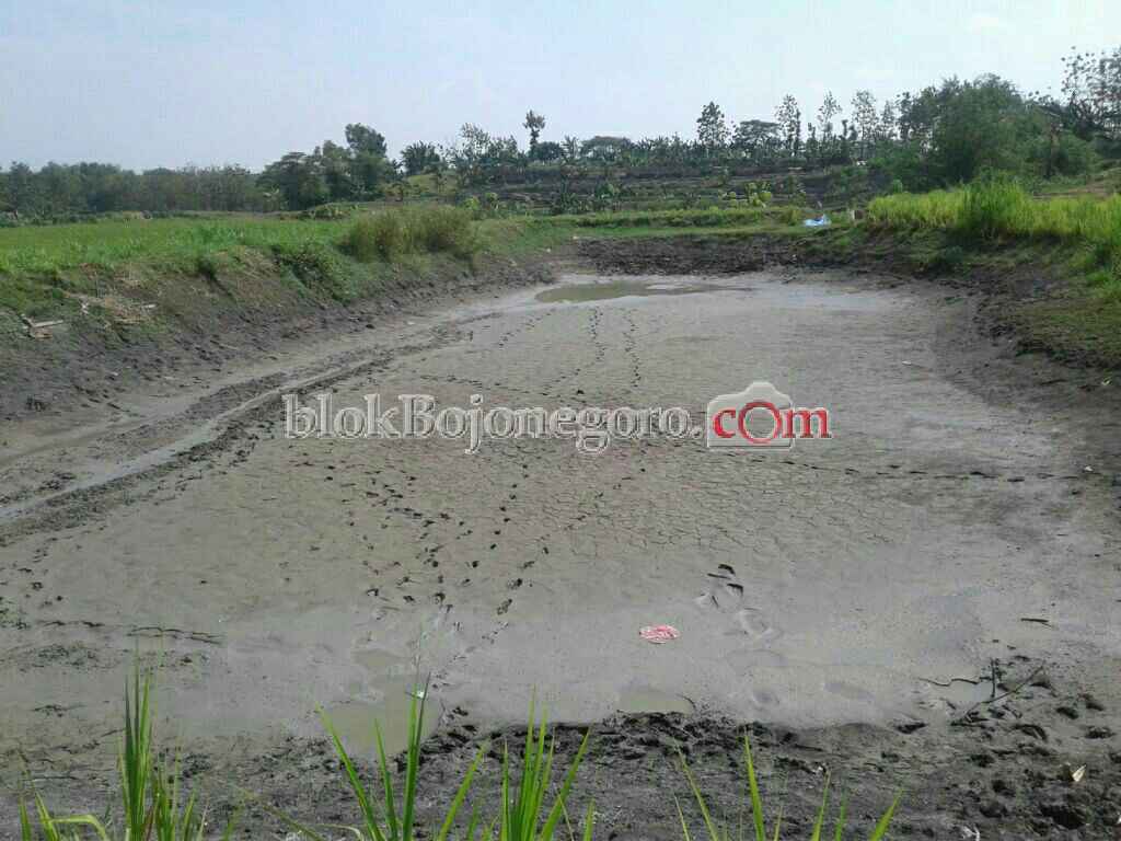 Kemarau, Embung di Tambakrejo Mengering