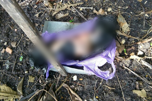 Disimpulkan Bayi Meninggal Setelah Dilahirkan