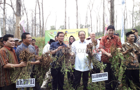 Menteri Koperasi dan UKM RI Hadiri Panen Kacang Tanah di Dander