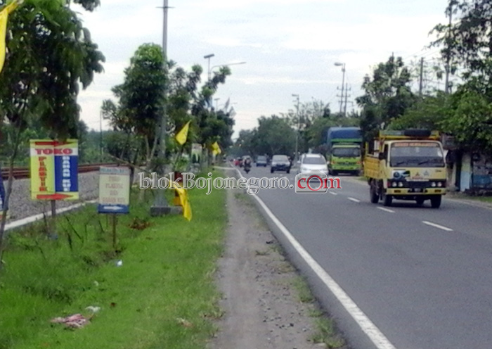 PMII Sunan Giri Sayangkan Pemasangan Baliho di Pohon