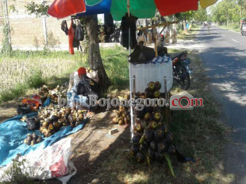 Ramadan, Ada Penjual Legen Dadakan di Dander