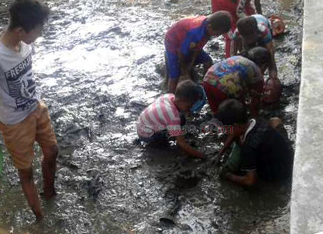Bersih Desa, Anak-anak di Bubulan Ikut Berburu Ikan