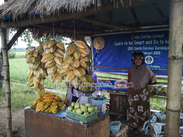 Musim Hujan, Petani Hanya Penuhi Permintaan Pedagang Bojonegoro