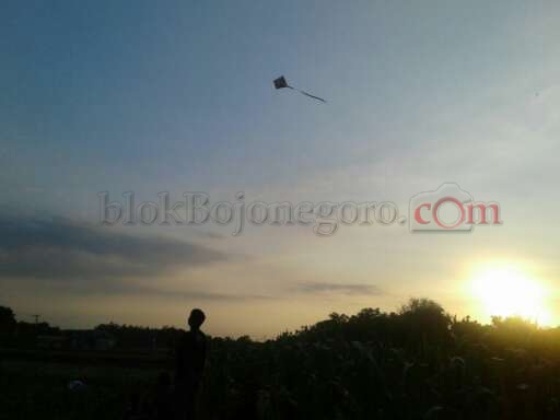Kemarau, Sebagian Anak di Bubulan Bermain Layangan