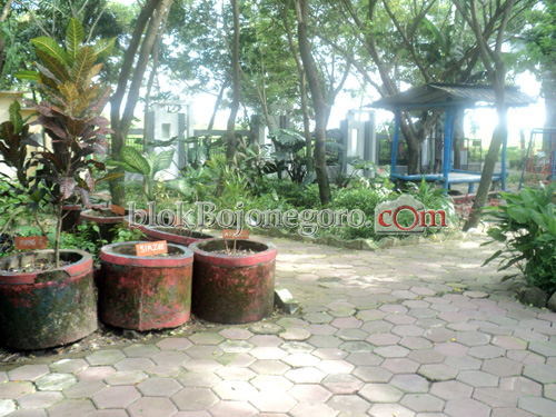 Melihat Keindahan Taman di TPA Banjarsari