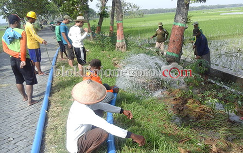 Kompak, Warga Gedungarum Lakukan Gropyokan Tikus