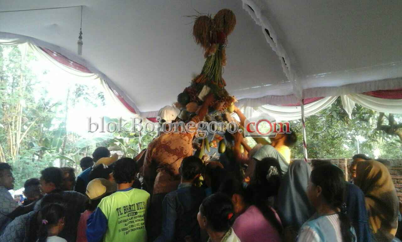 Puluhan Warga Sidodadi Arak Tumpeng Raksasa