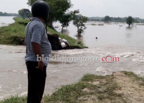 Tak Mampu Tahan Derasnya Air, Tanggul Sambiroto Jebol