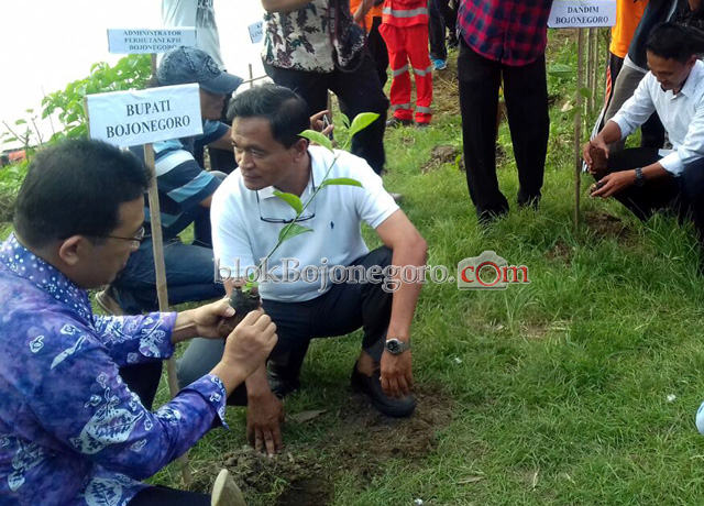 Jazz Bengawan, Dibuka Tanam Pohon dan Sebar Ikan