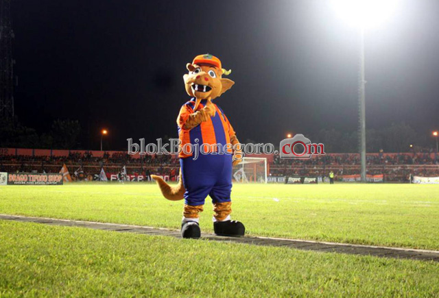Inilah Asal Usul Saga, Maskot Dari Persibo