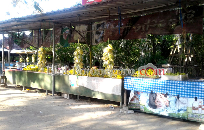 Lebaran, Berharap Pengunjung Kebun Belimbing Meningkat