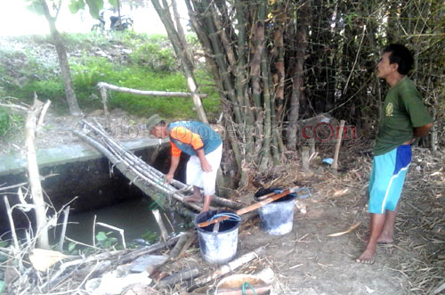 Kemarau, Petani Genjor Diuntungkan Adanya Aliran Sungai