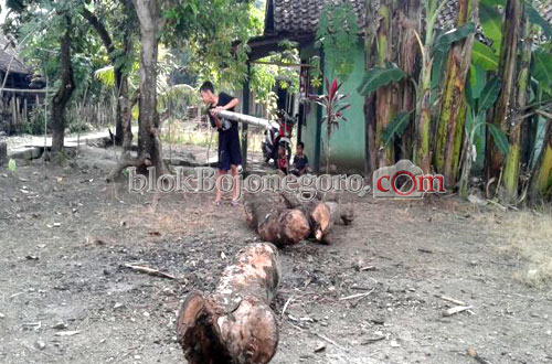 Belum Tahu Hukum, Bocah di Bubulan Masih Bunyikan Mercon
