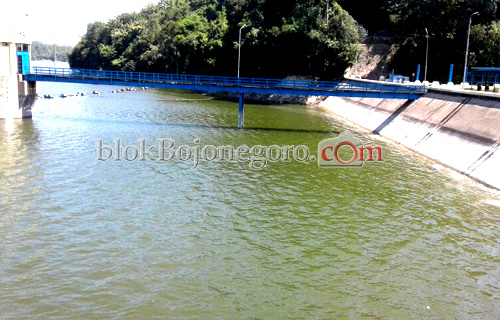 Memasuki Kemarau, Debit Waduk Pacal Turun