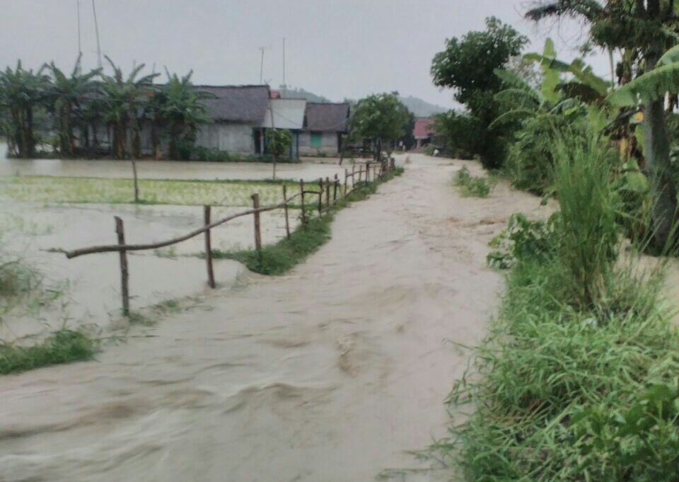 Hujan Lebat, Puluhan Rumah di Gondang Tergenang