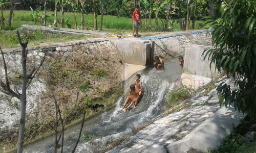 Manfaatkan Hari Libur Ujian dengan Mandi di Irigasi