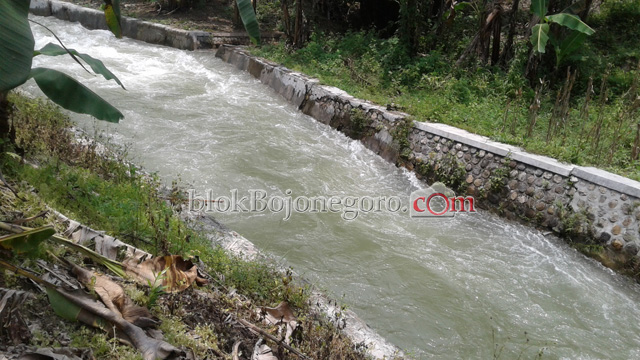 Pasca Meluap, Debit Air Waduk Pacal Mulai Surut